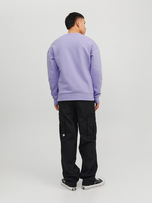 Հասարակ CREWNECK Sweatshirt