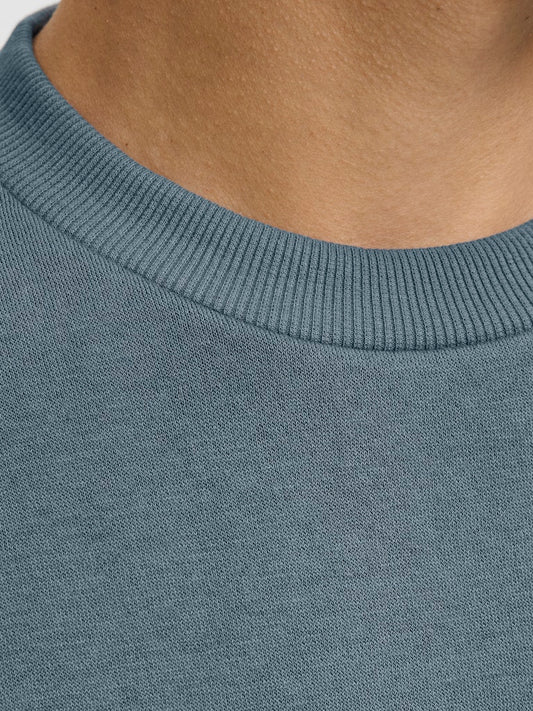 JJEBRADLEY SWEAT CREW NOOS