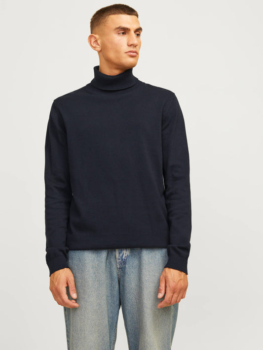 Basic Knit Roll Neck