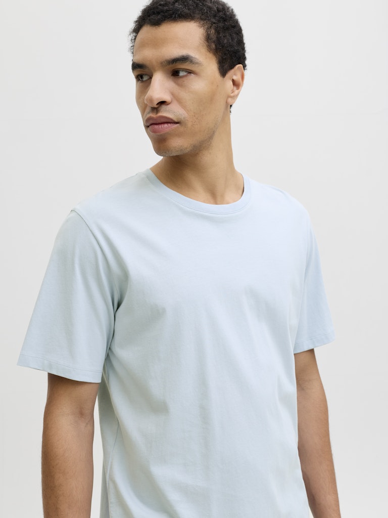 JJEORGANIC BASIC TEE SS O-NECK NOOS