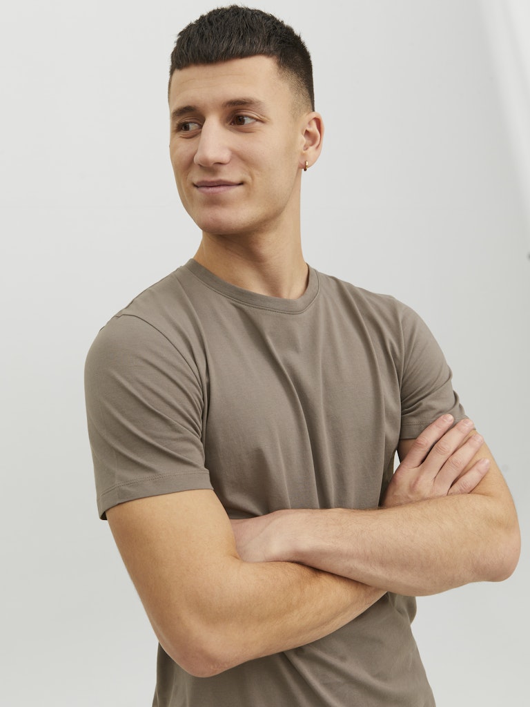 JJEORGANIC BASIC TEE SS O-NECK NOOS