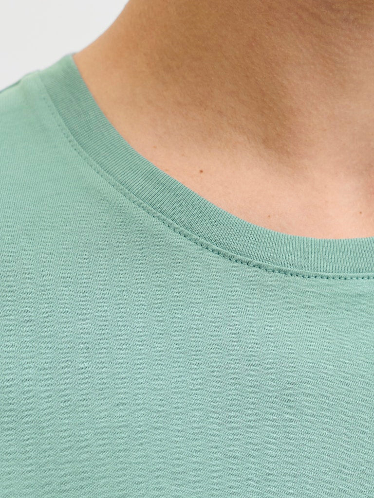 JJEORGANIC BASIC TEE SS O-NECK NOOS