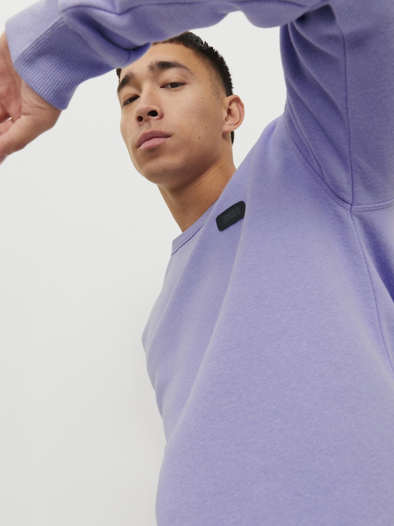JCOCLASSIC CREW NECK SWEAT NOOS