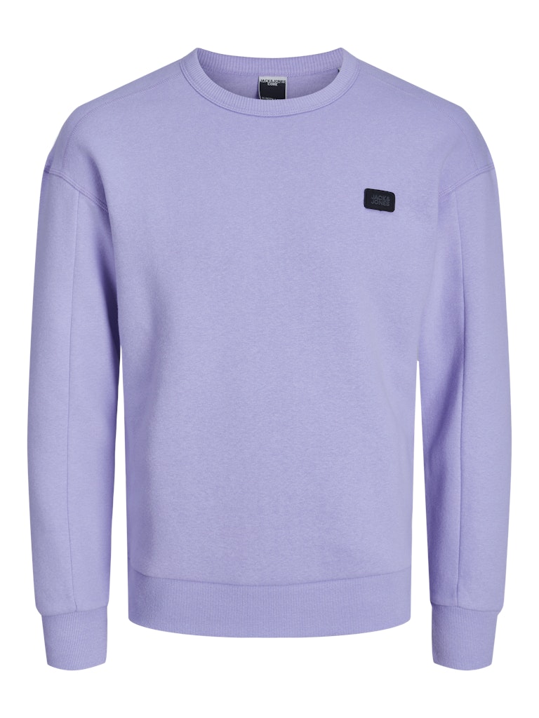 JCOCLASSIC CREW NECK SWEAT NOOS