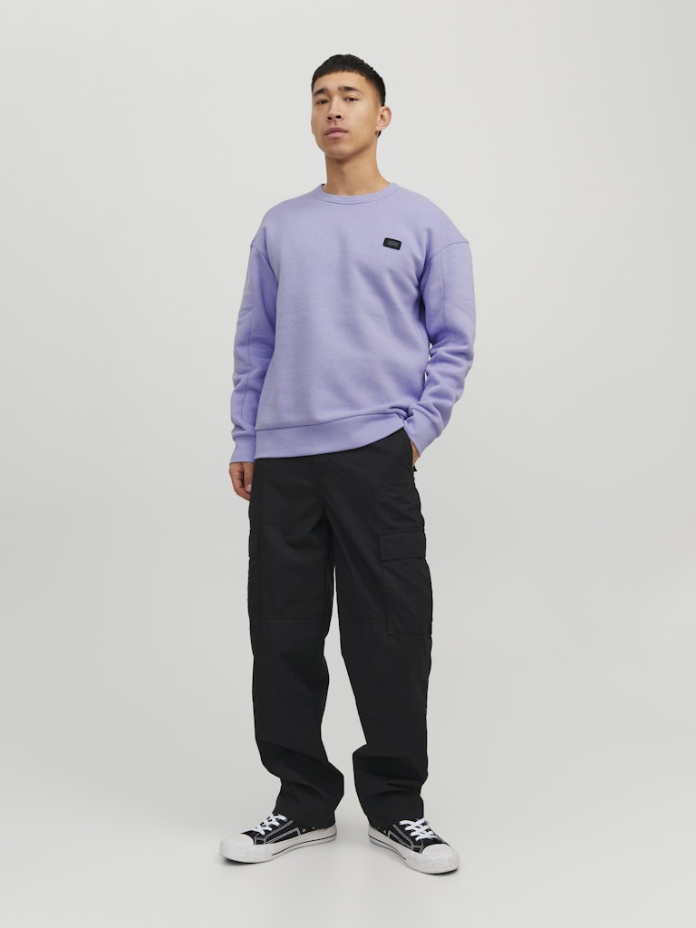 JCOCLASSIC CREW NECK SWEAT NOOS