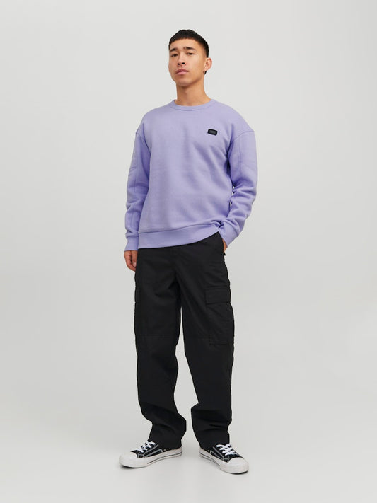 JCOCLASSIC CREW NECK SWEAT NOOS