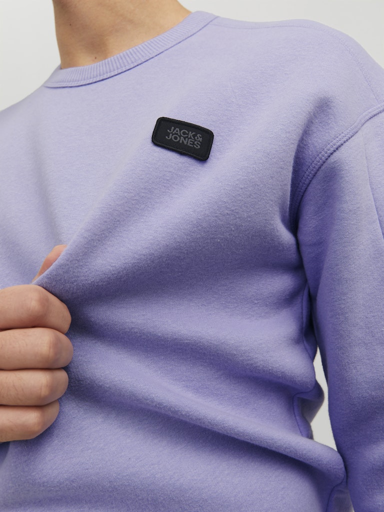 JCOCLASSIC CREW NECK SWEAT NOOS