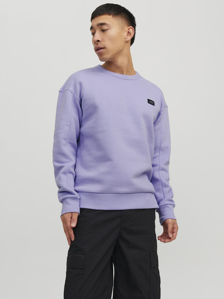 JCOCLASSIC CREW NECK SWEAT NOOS