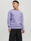JCOCLASSIC CREW NECK SWEAT NOOS