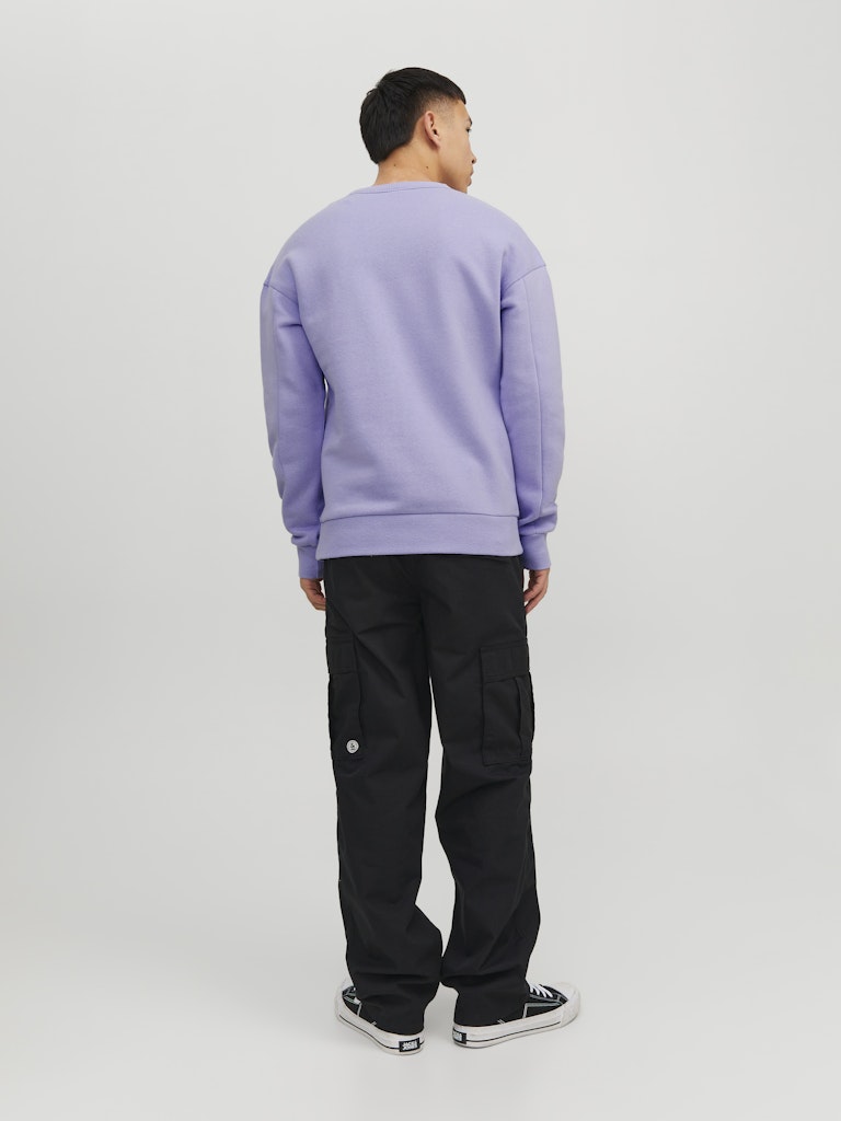 JCOCLASSIC CREW NECK SWEAT NOOS