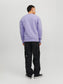 JCOCLASSIC CREW NECK SWEAT NOOS