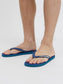 JFWBASIC slider