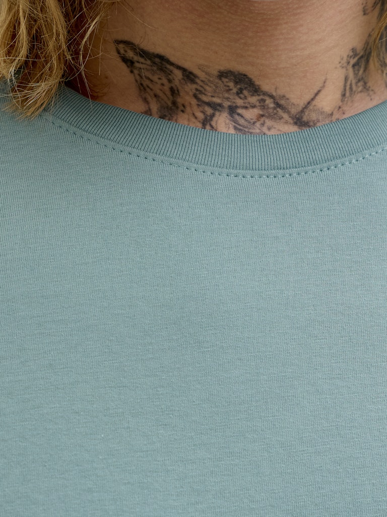 JJEPAULOS TEE SS CREW NECK NOOS