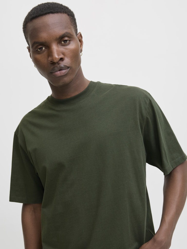 JJEBRADLEY TEE SS O-NECK NOOS