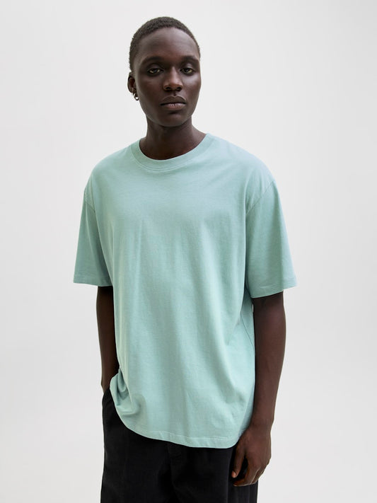 JJEBRADLEY TEE SS O-NECK NOOS