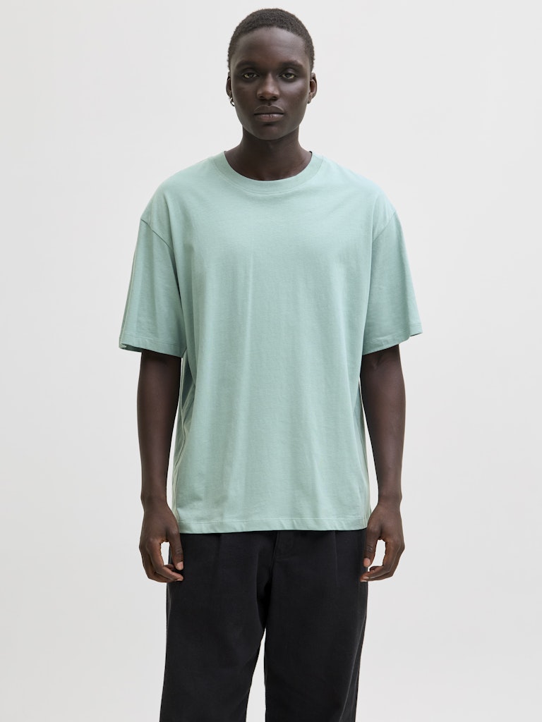 JJEBRADLEY TEE SS O-NECK NOOS