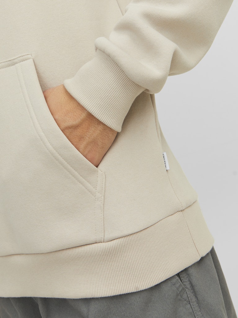 JJEBRADLEY SWEAT HOOD NOOS