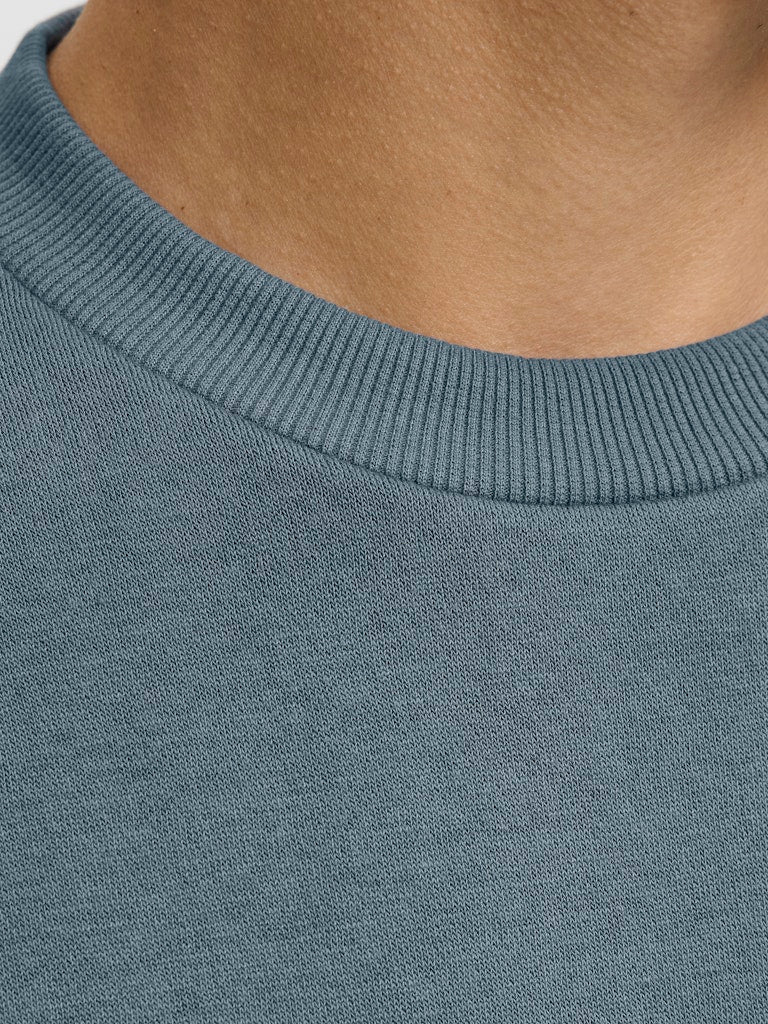 JJEBRADLEY SWEAT CREW NOOS