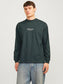 JORVESTERBRO TEE LS CREW NECK