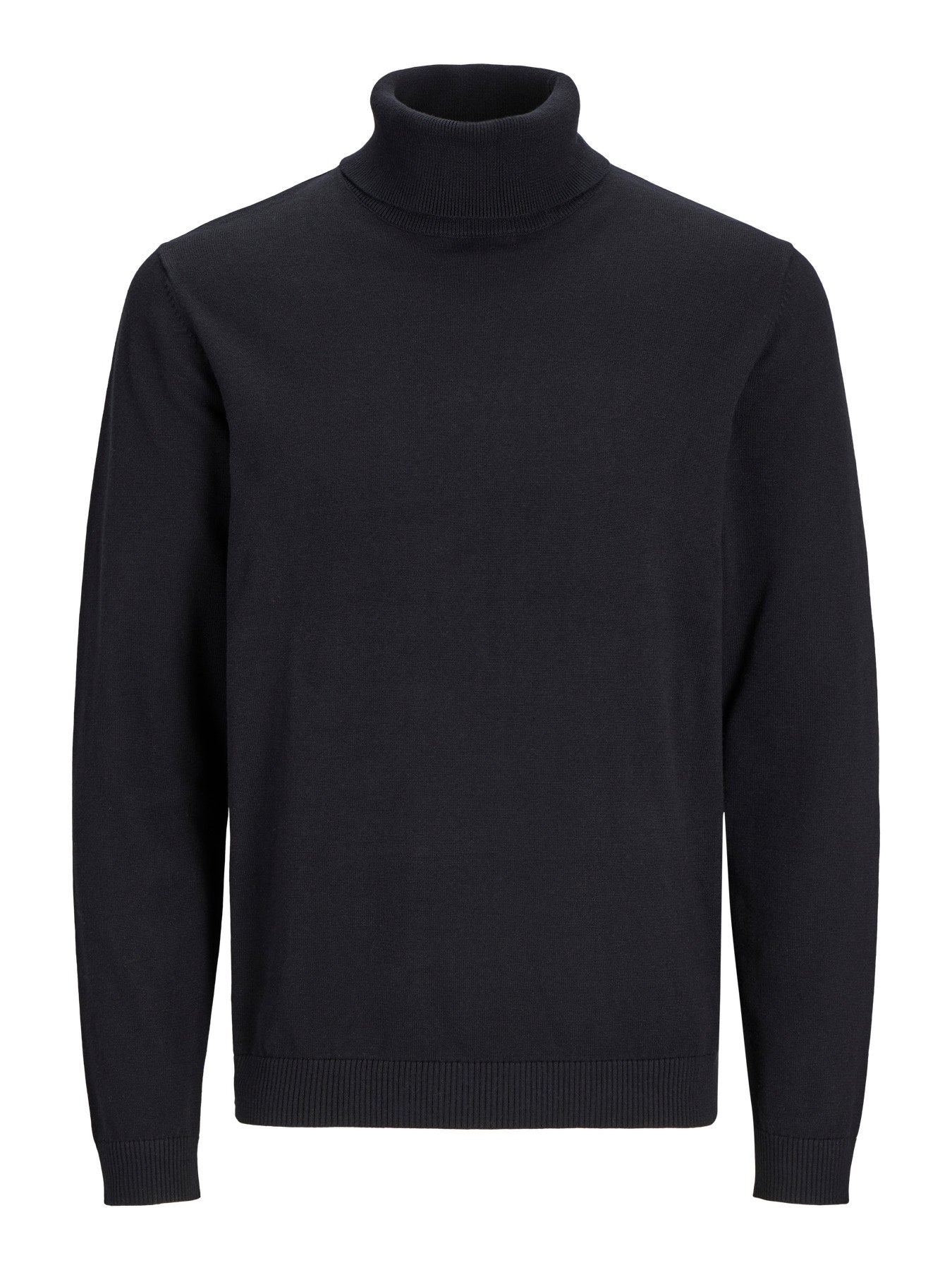 Basic Knit Roll Neck