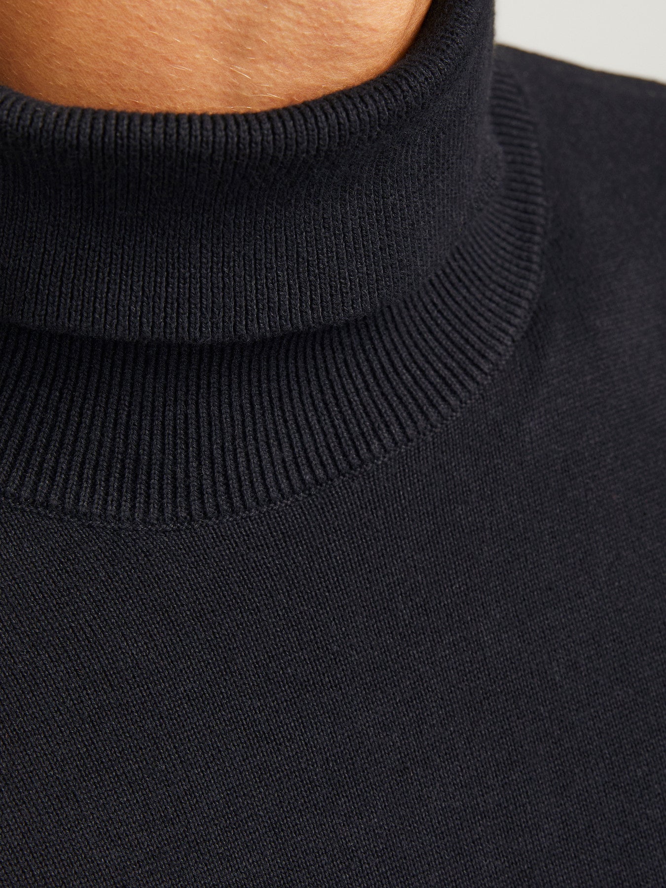 Basic Knit Roll Neck