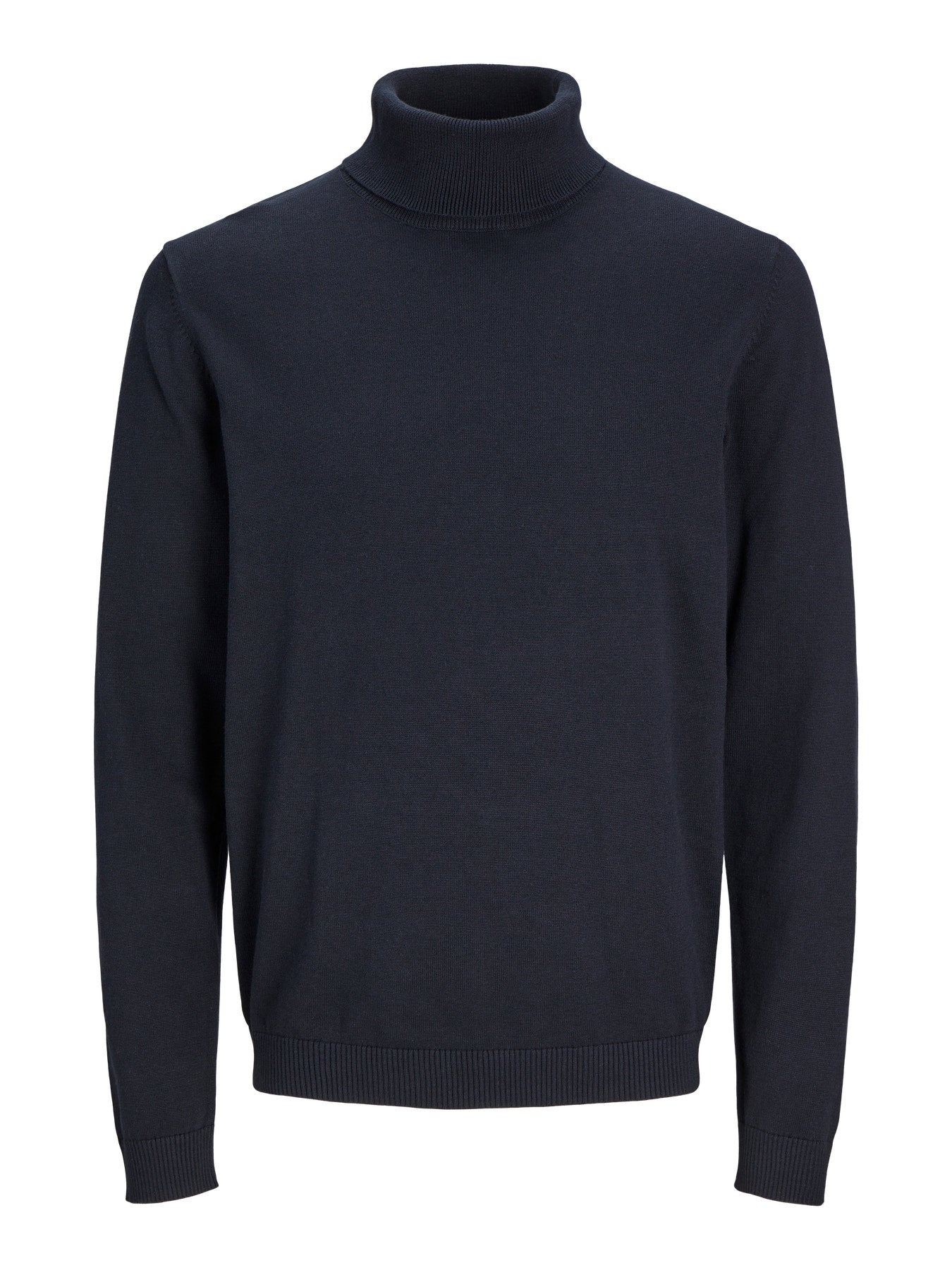 Basic Knit Roll Neck