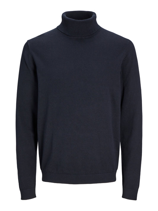 Basic Knit Roll Neck