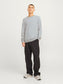 JJEGLOBE KNIT CREW NECK NOOS