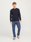JJEGLOBE KNIT CREW NECK NOOS