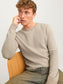JJEGLOBE KNIT CREW NECK NOOS