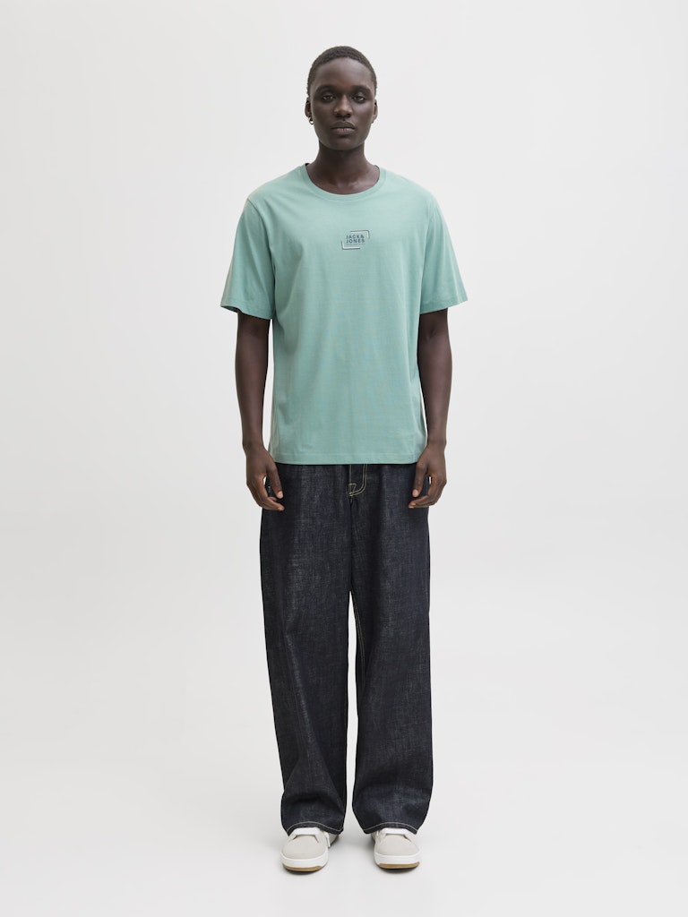 JJCORP GRAPHIC TEE SS O-NECK LN