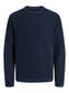 JJEDOVER KNIT CREW NECK SN