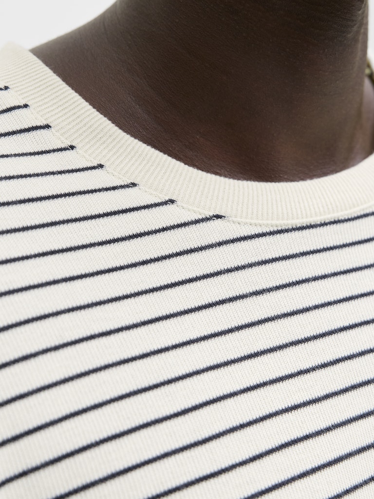 JJEDOVER STRIPED TEE SS CREW NECK SN