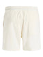 JPSTMAUI NORREBRO SWIM SHORTS REG RET