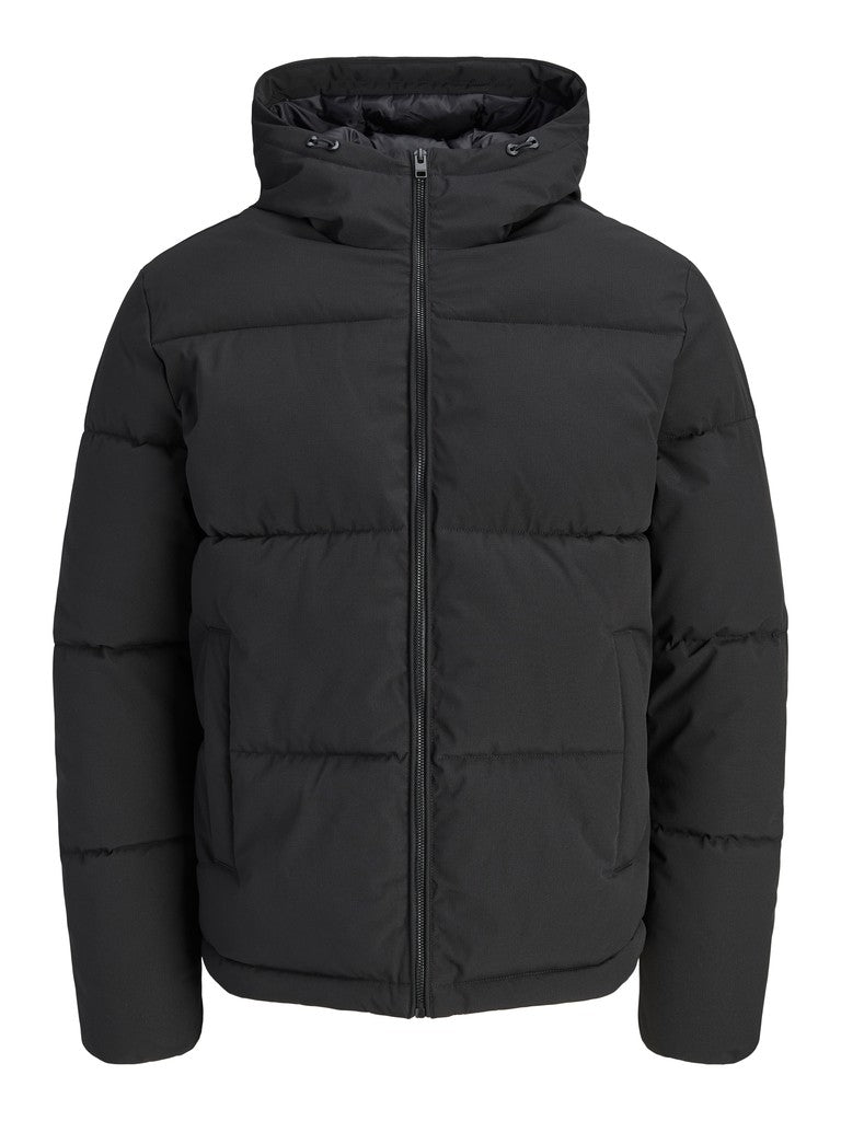 Galaxy Puffer