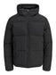 Galaxy Puffer