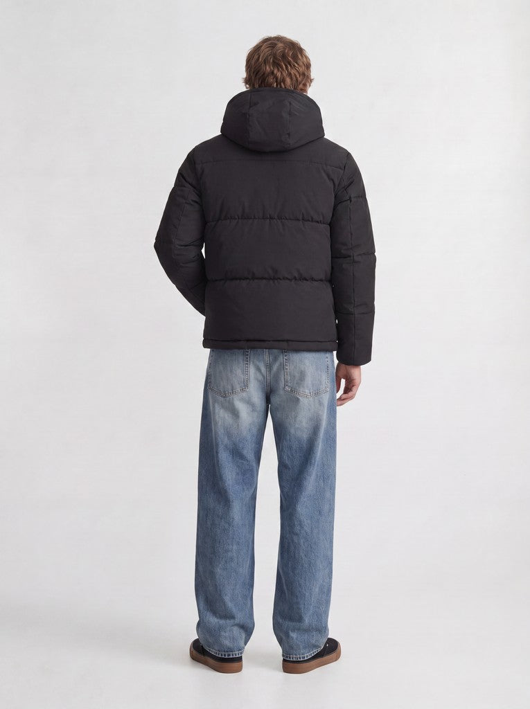 Galaxy Puffer