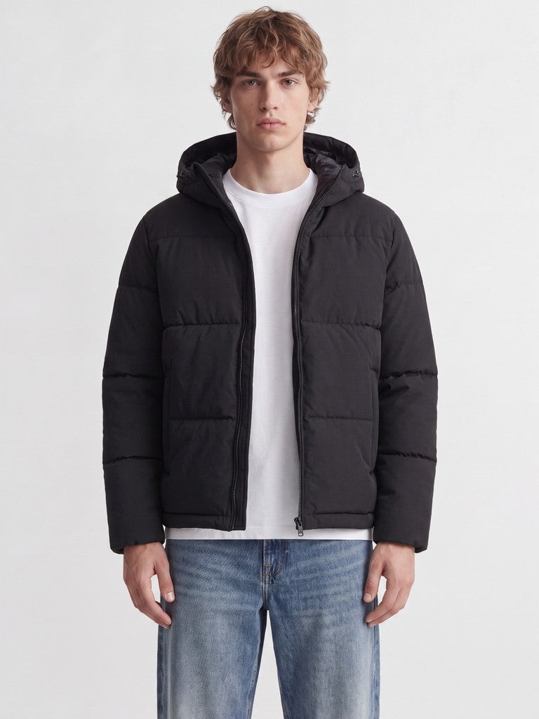 Galaxy Puffer