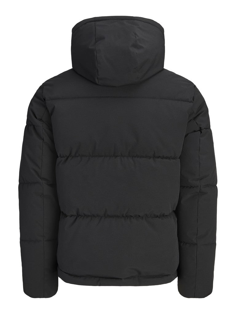 Galaxy Puffer