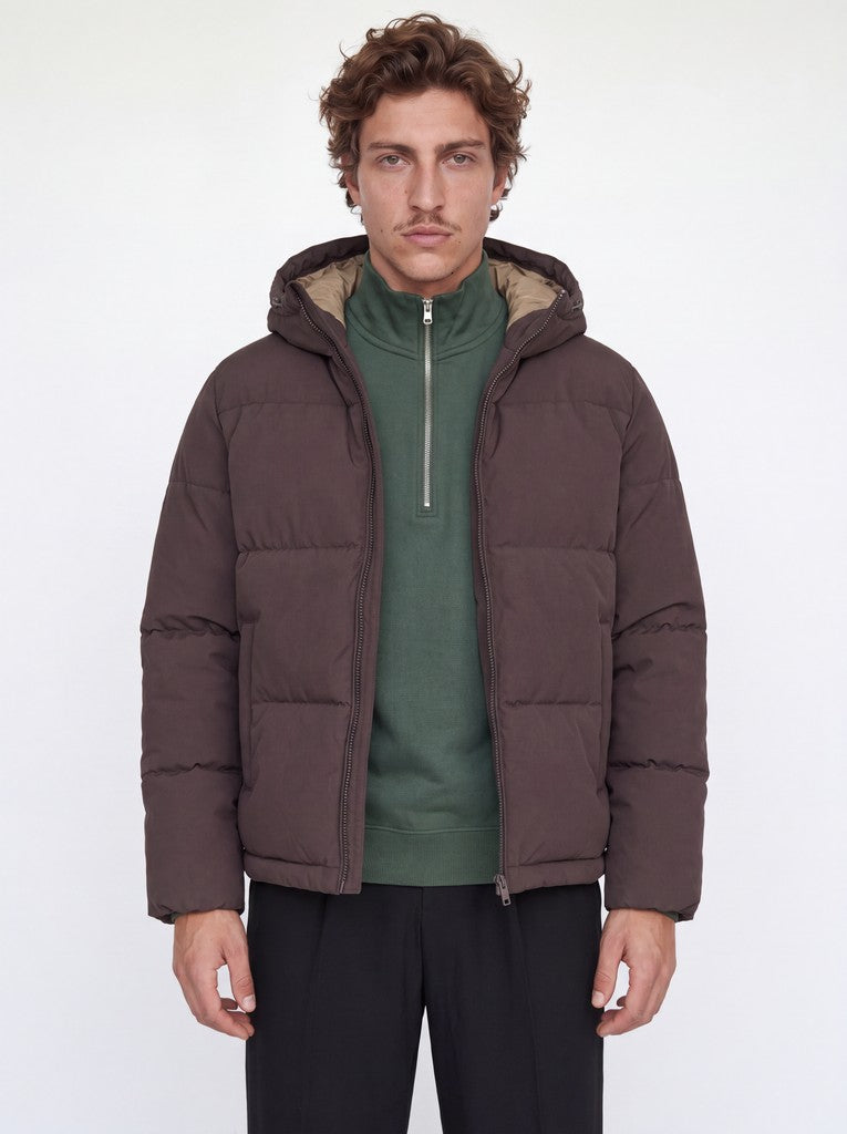Galaxy Puffer
