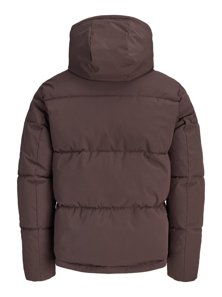 Galaxy Puffer