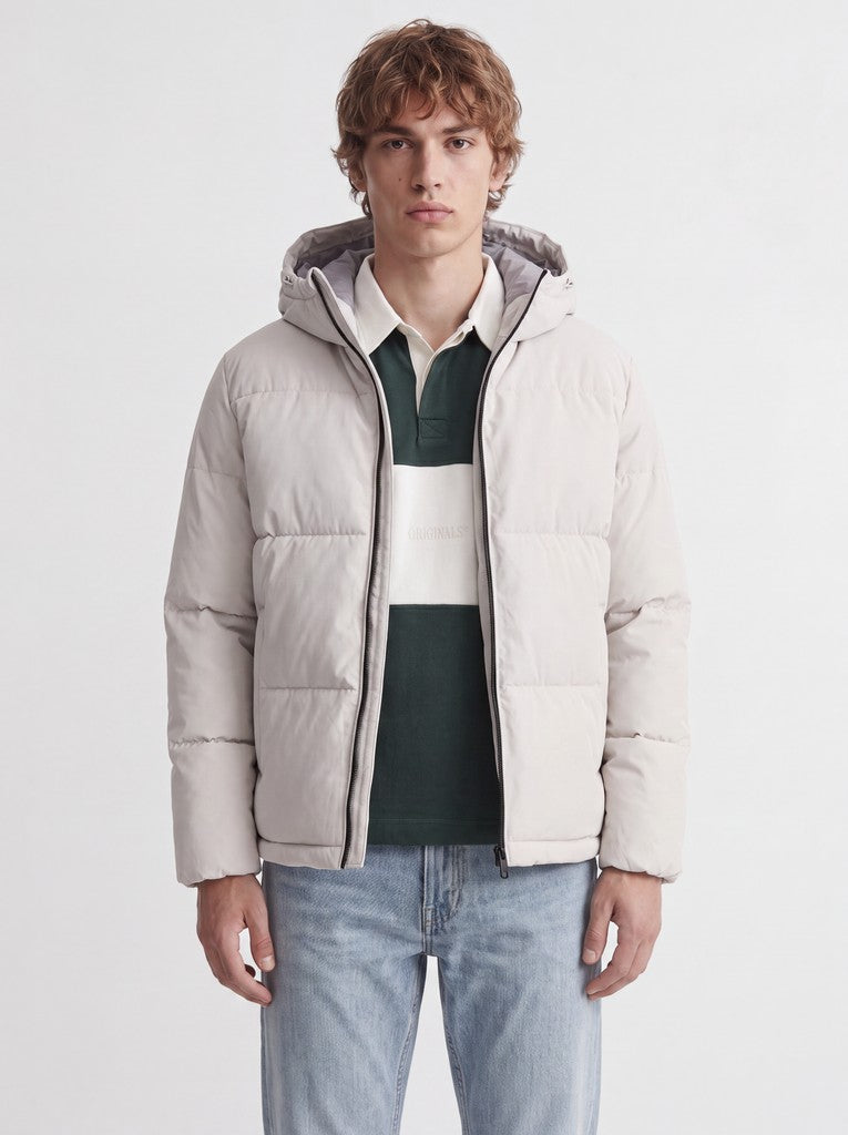 Galaxy Puffer