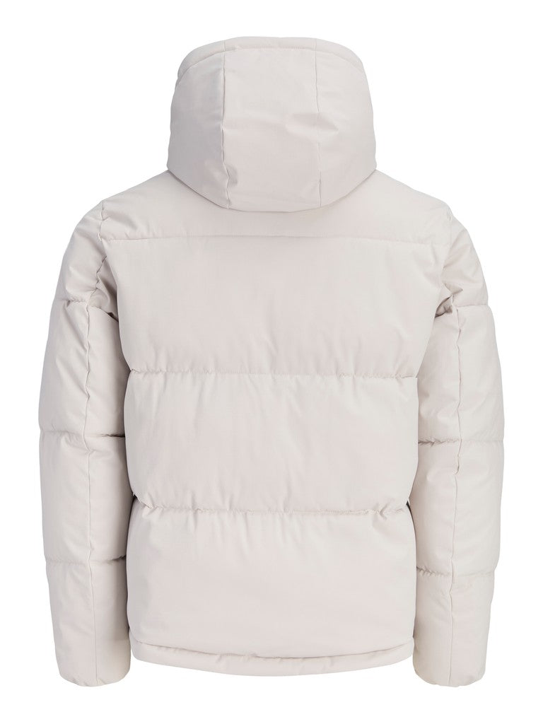 Galaxy Puffer