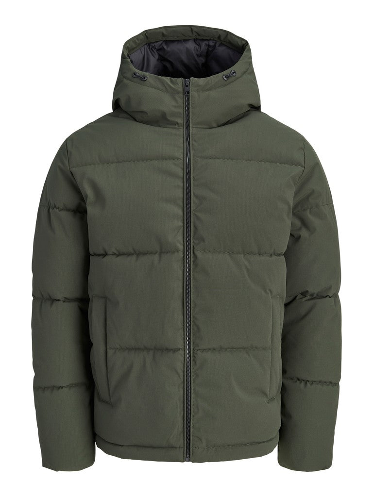 Galaxy Puffer