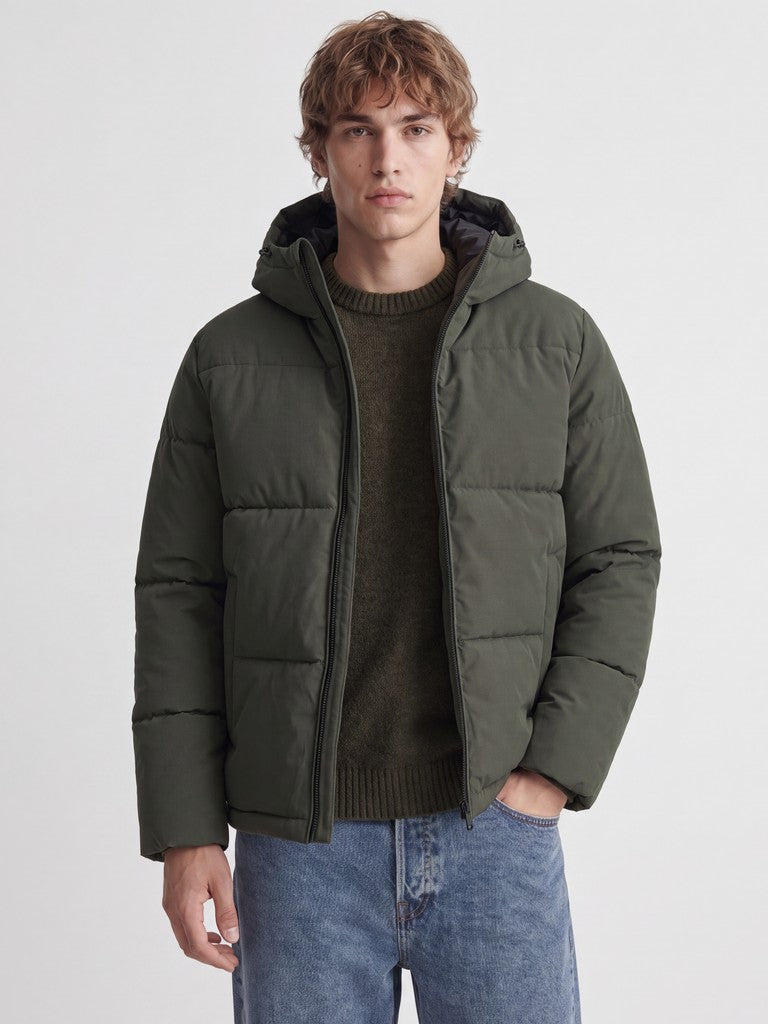 Galaxy Puffer