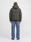 Galaxy Puffer