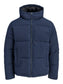 Galaxy Puffer