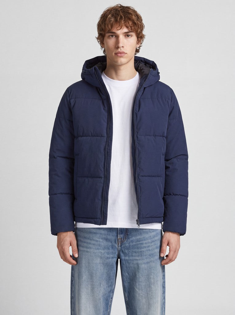 Galaxy Puffer