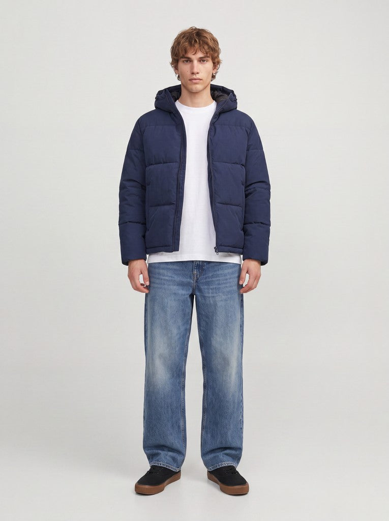 Galaxy Puffer