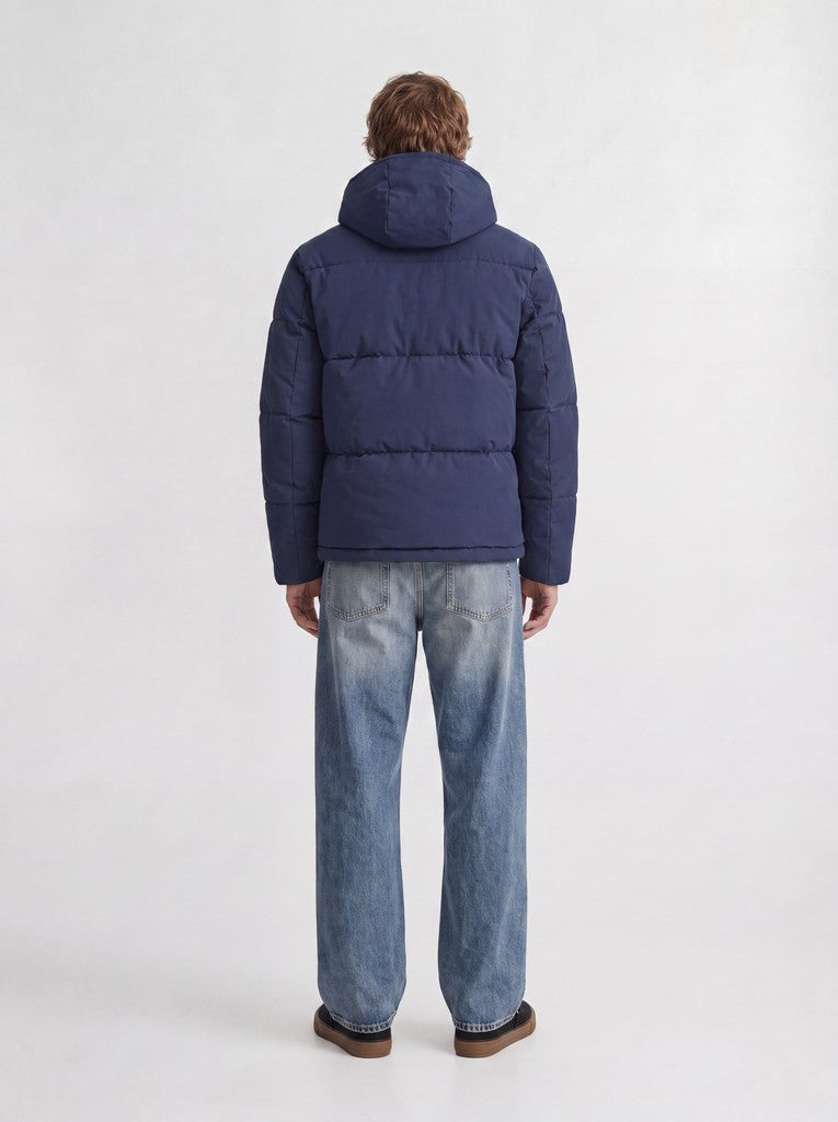 Galaxy Puffer